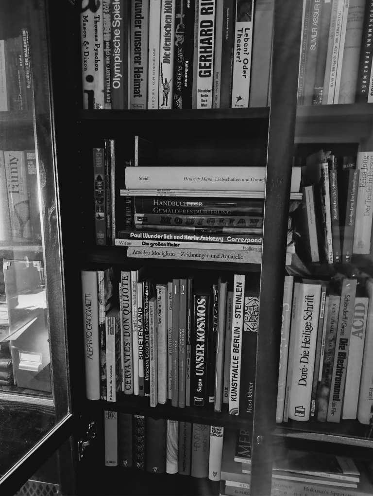 Bild vom heimischen Bücherregal