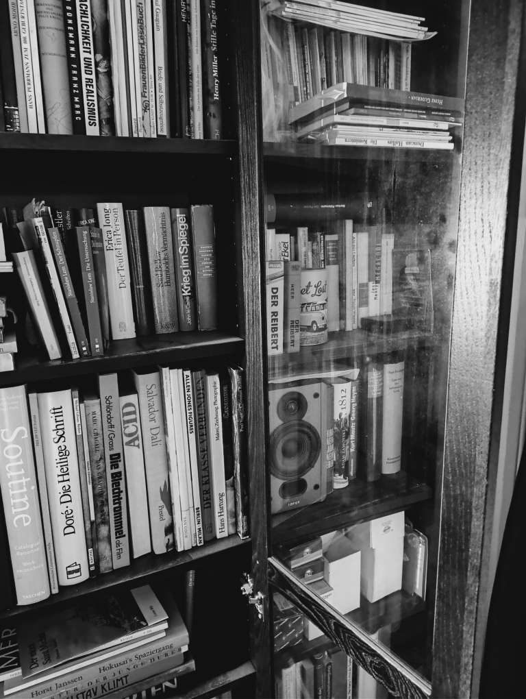 Bild vom heimischen Bücherregal