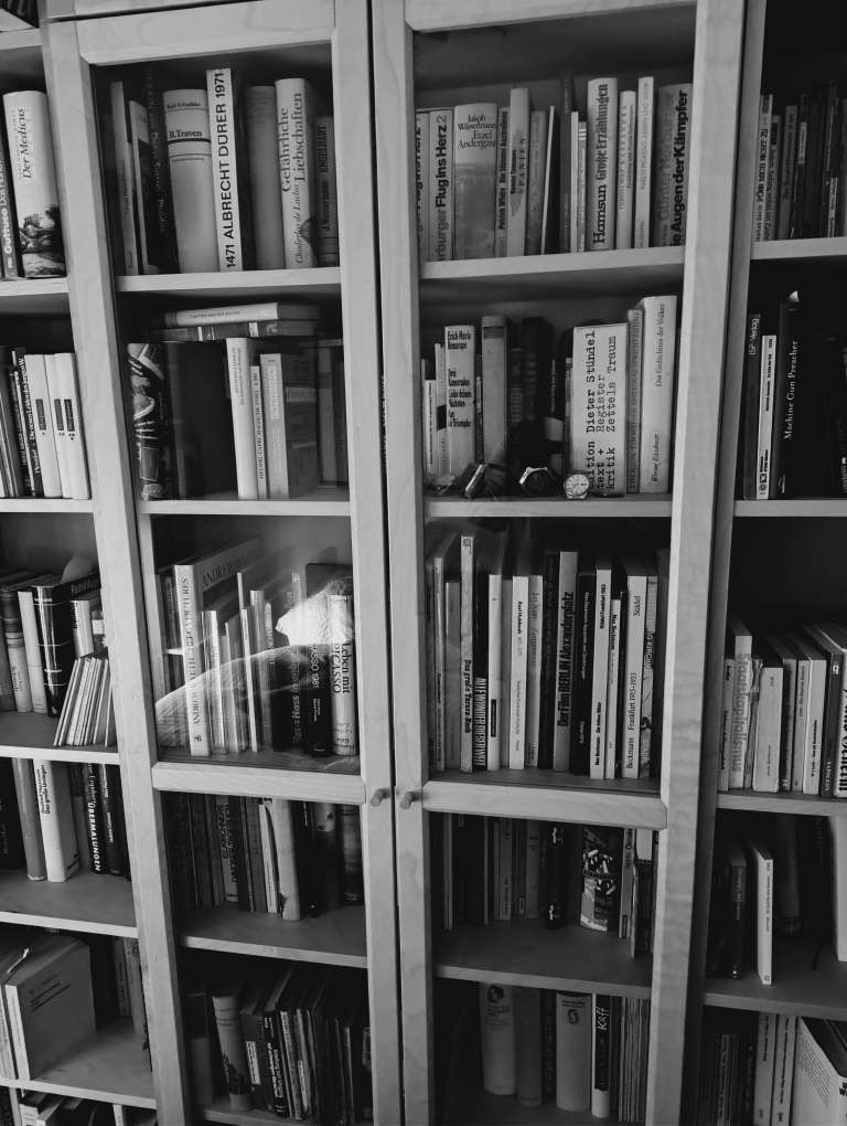 Bild vom heimischen Bücherregal